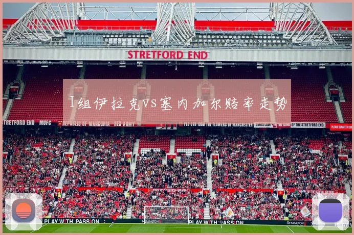 I组伊拉克vs塞内加尔赔率走势