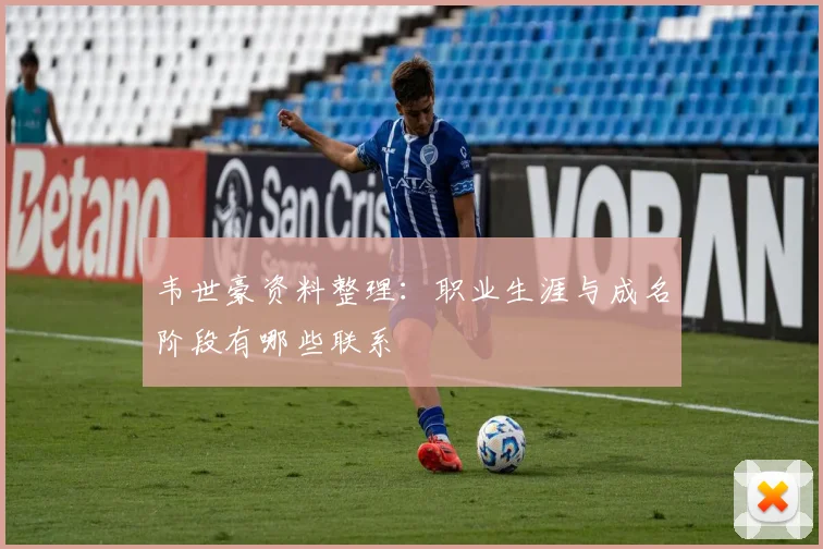 韦世豪资料整理：职业生涯与成名阶段有哪些联系