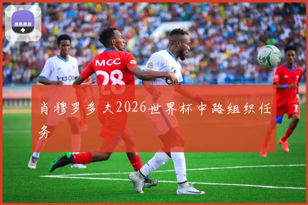 肖穆罗多夫2026世界杯中路组织任务
