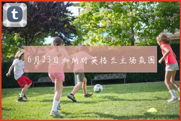 6月23日加纳对英格兰主场氛围