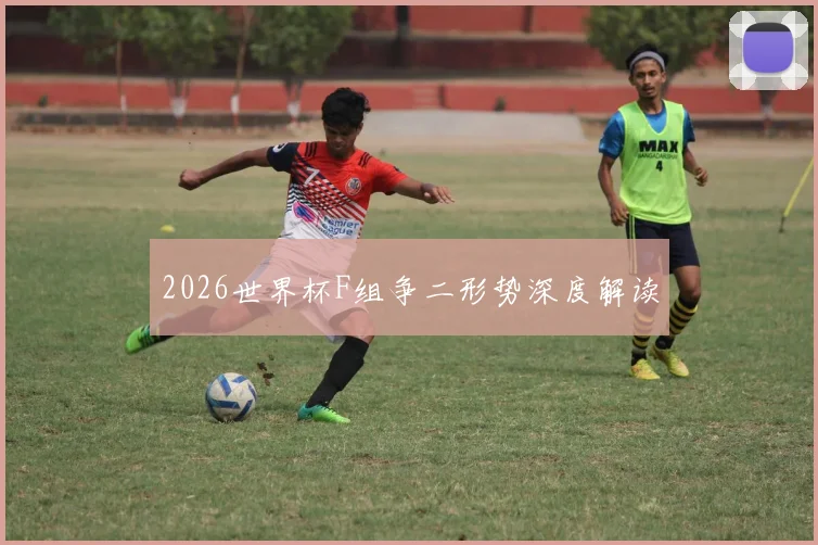 2026世界杯F组争二形势深度解读