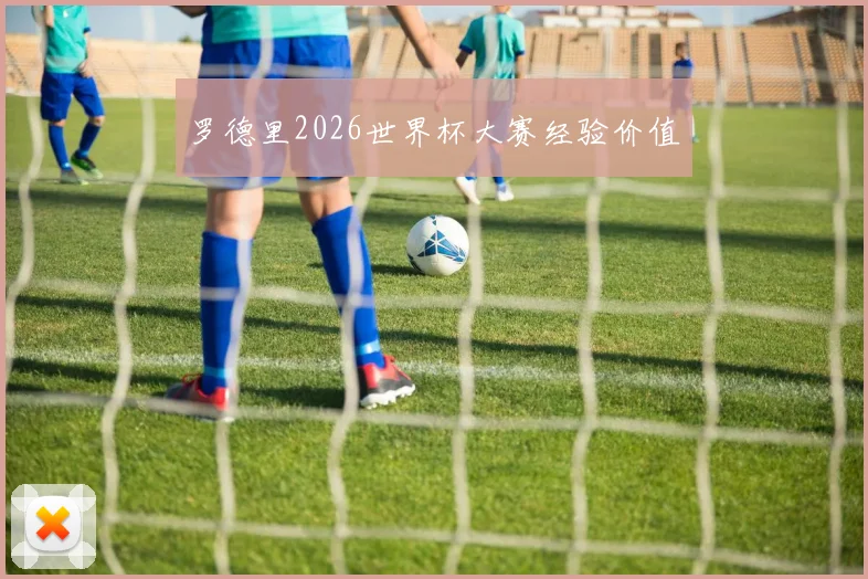 罗德里2026世界杯大赛经验价值