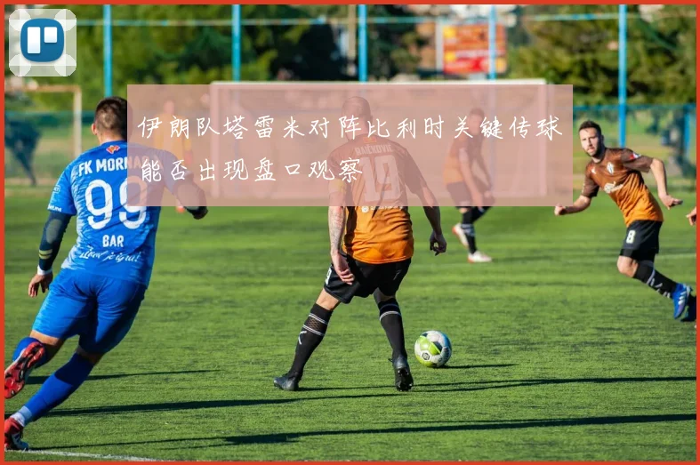 伊朗队塔雷米对阵比利时关键传球能否出现盘口观察